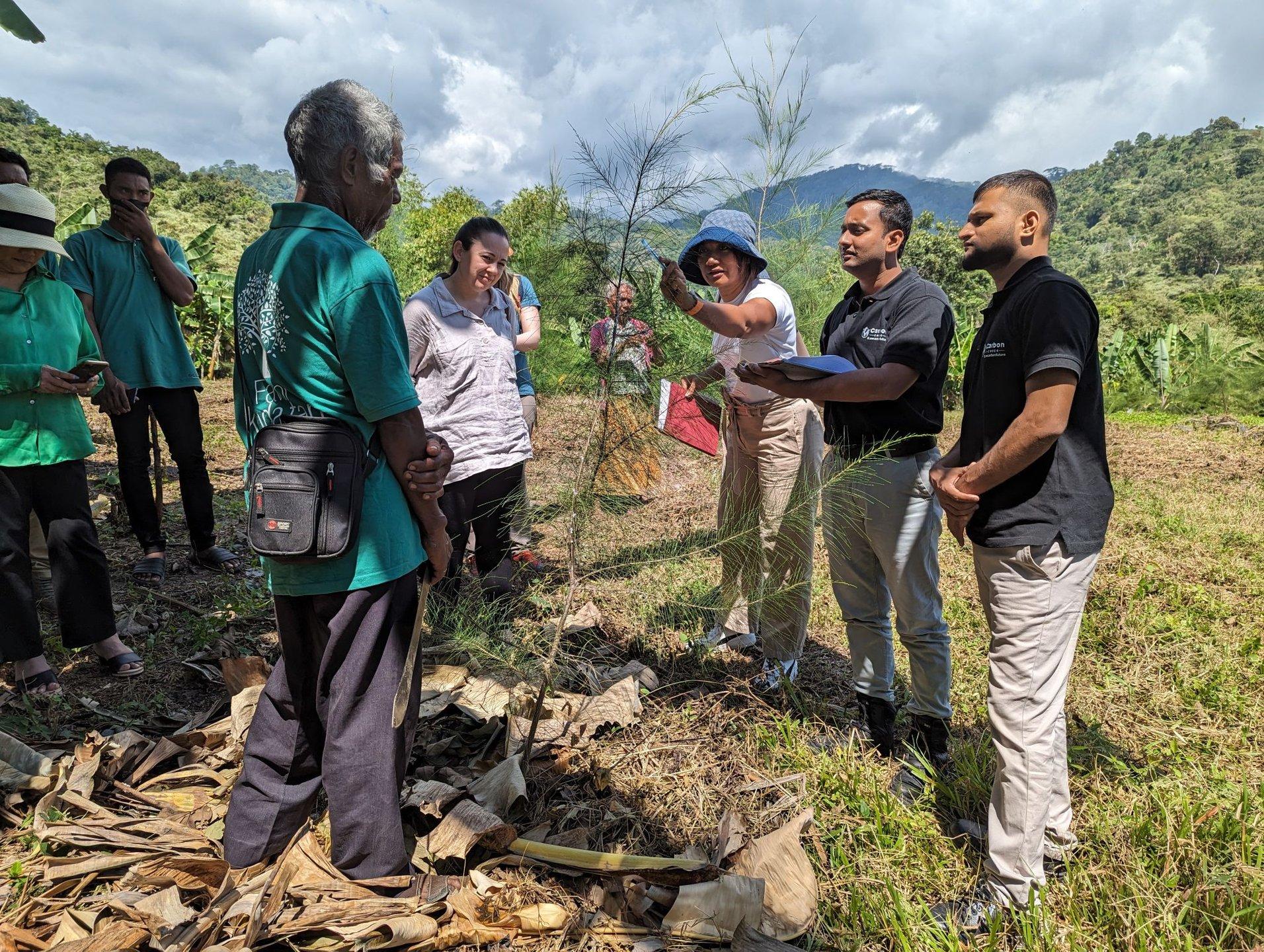 Field visit at an agroforestry site in Timor-Leste with Foundation Rai Matak
