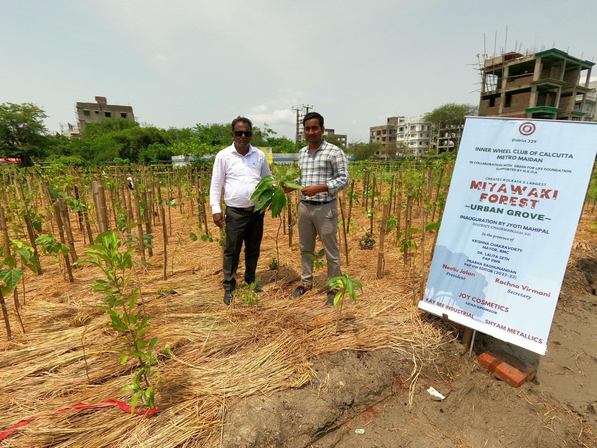 Miyawaki urban grove plantation at NKDA, Kolkata